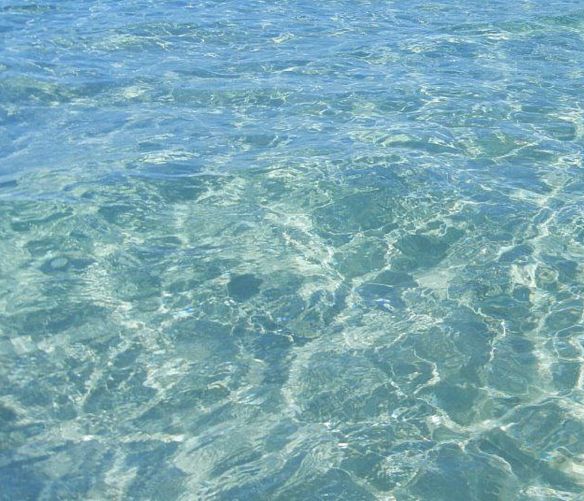 03082017 pulizia del mare