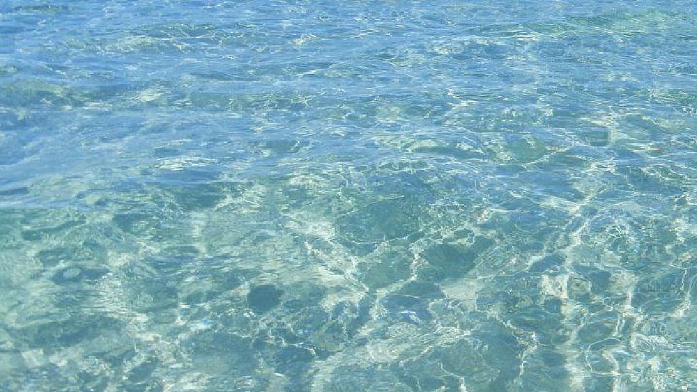 03082017 pulizia del mare