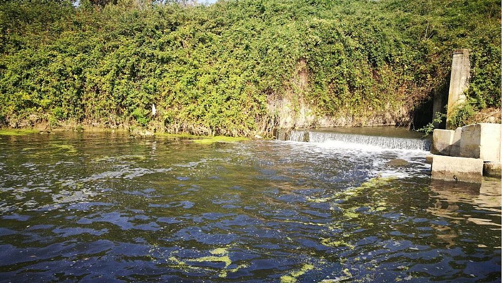 03082017 sopralluogo Sele 3