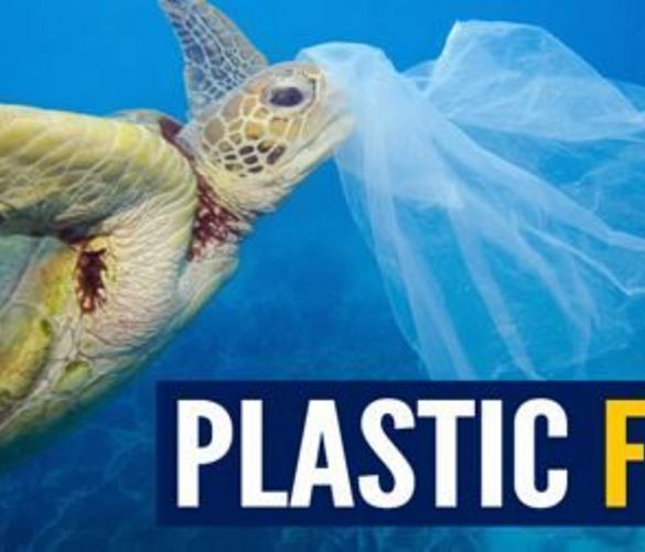 03082018 plastic free