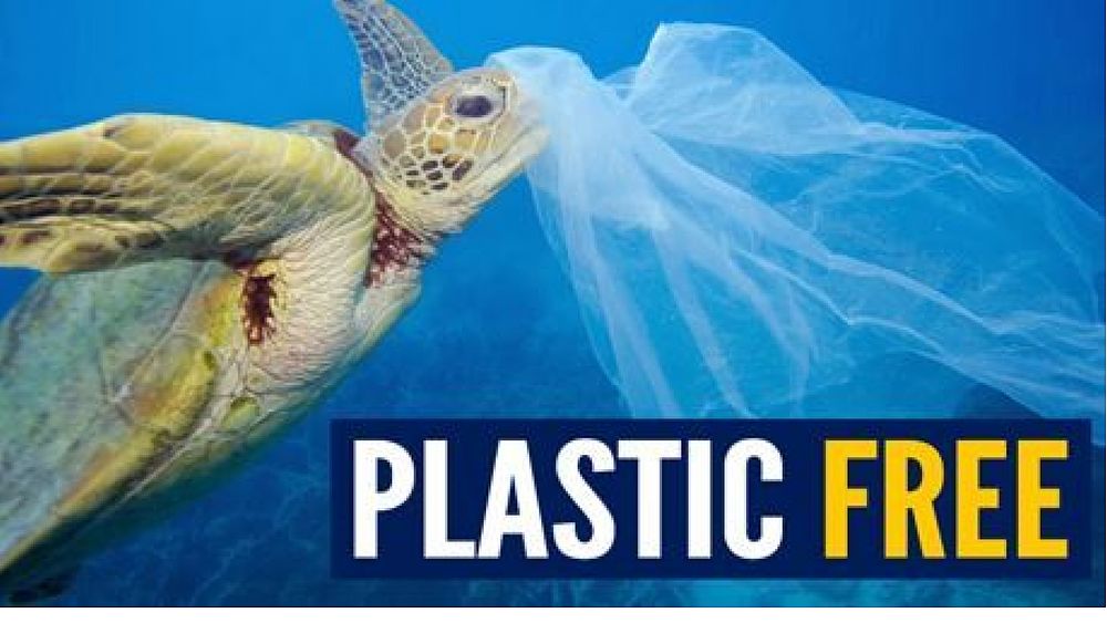 03082018 plastic free