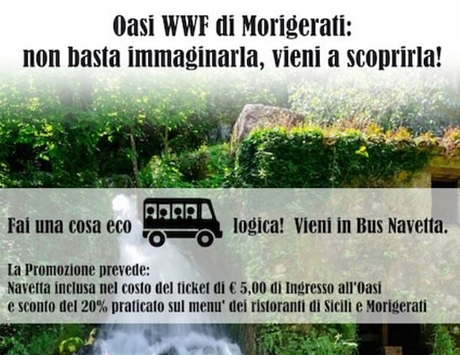 03082019 bus morigerati