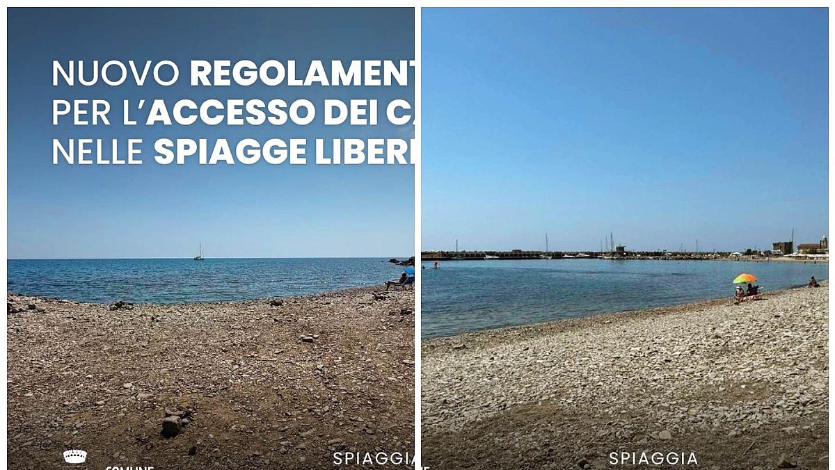03082024 spiagge libere cani pollica 03082024 spiagge libere cani pollica