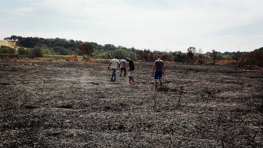 03092017 oasi persano ora cosi