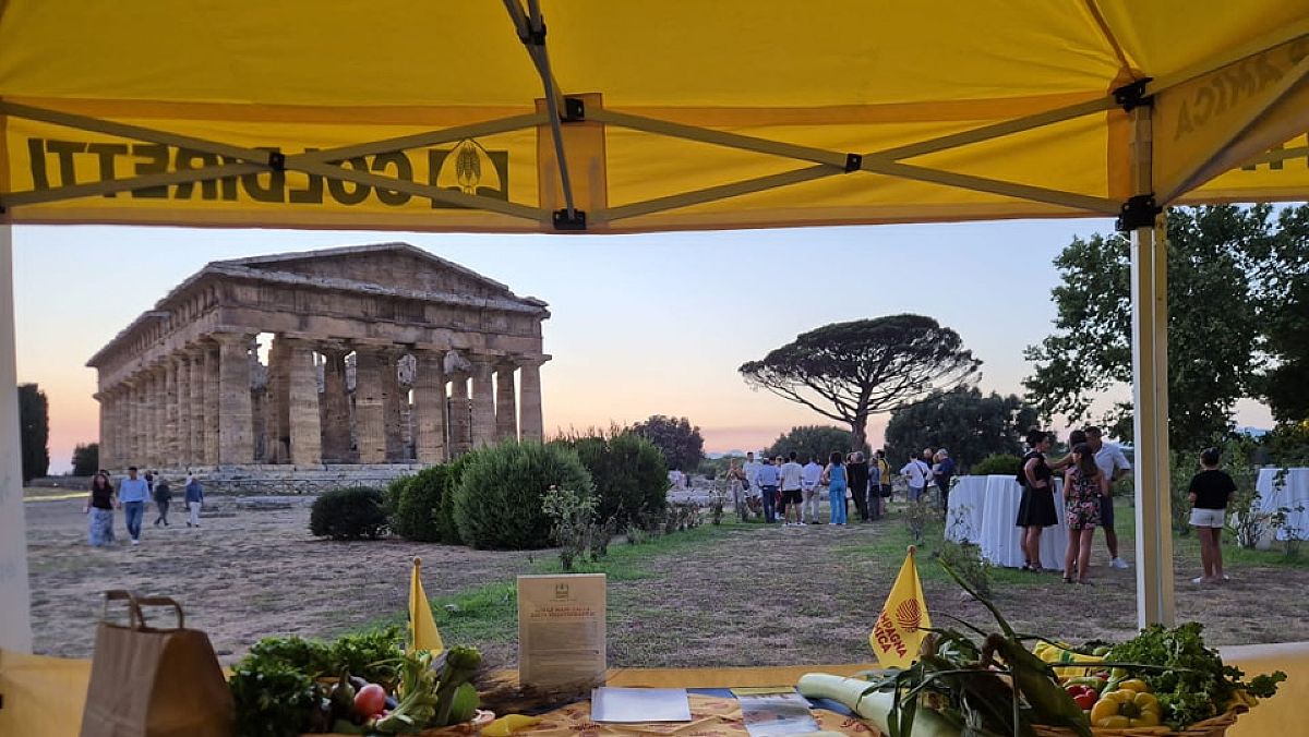 03092024 coldiretti salerno stand 03092024 coldiretti salerno stand