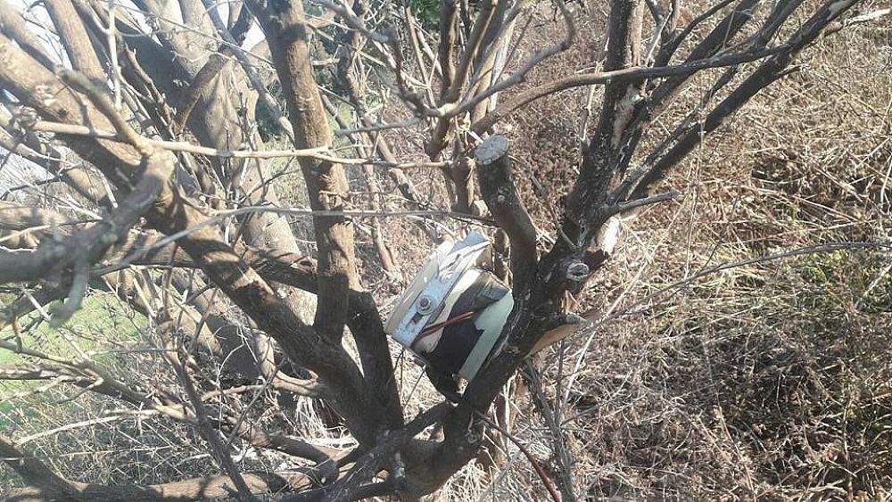 03102017 segnalazione enpa