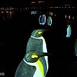 Cronaca foto - 03102018 pinguini di luci d artista