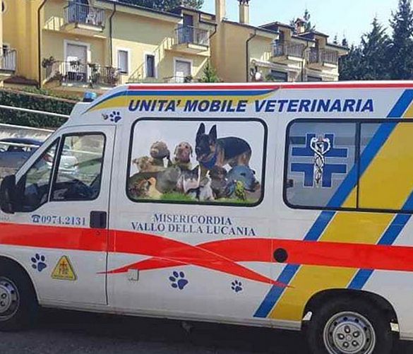 03102019 ambulanza per animali