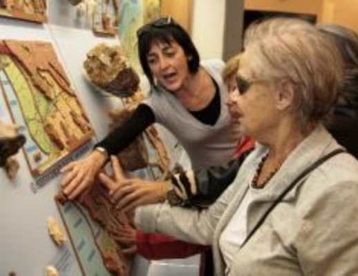 03122012 disabili visivi empoli museo paleontologico