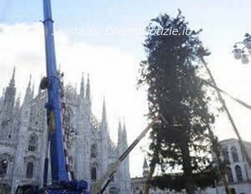03122013 alberi natale in piazza
