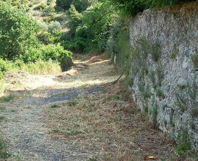 03122014 sentiero capaccio vecchio