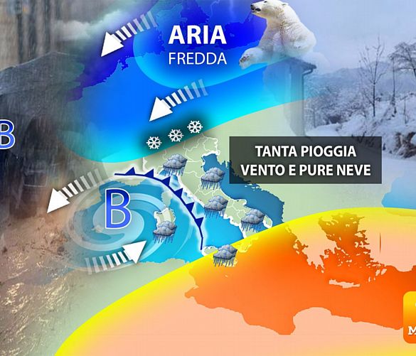 03122022 graffiata orso editoriale 3212