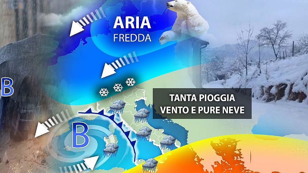 03122022 graffiata orso editoriale 3212