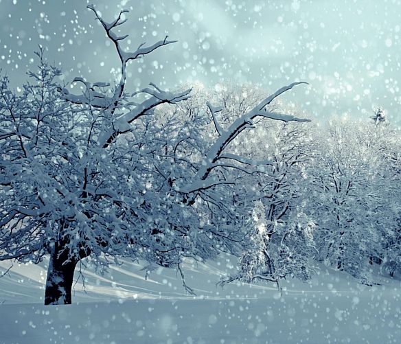 04012017 neve gelo e freddo