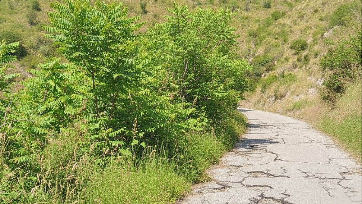 04012026 strade rotte cilento