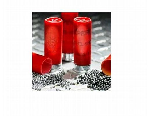 Paolo-Abbate foto - 04022015 piombo pallini