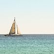 Comuni foto - 04022018 catamarano