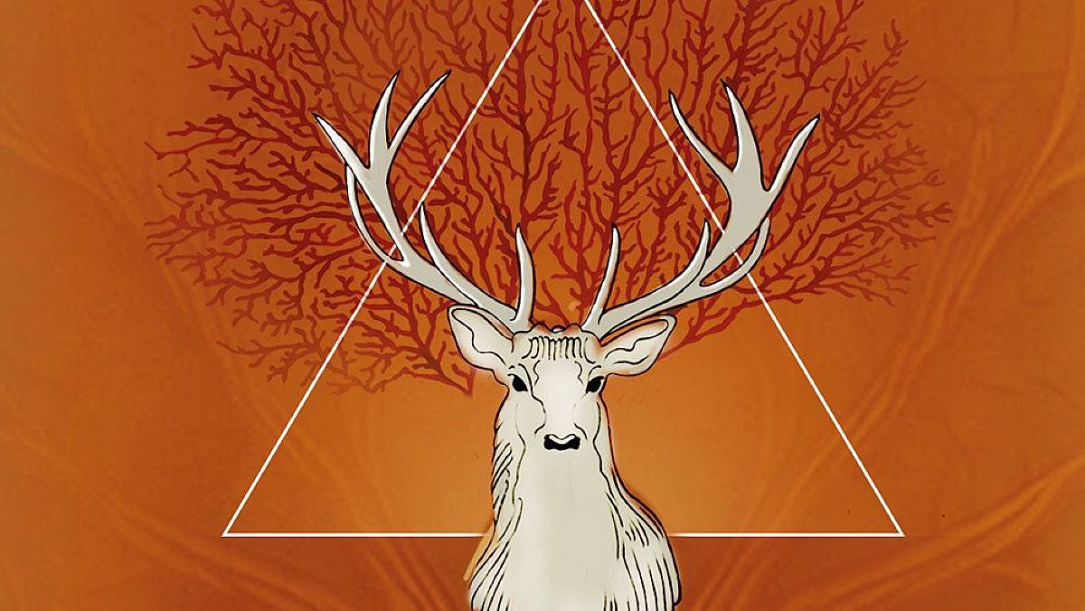 04022025 il cervo bianco piatto 04022025 il cervo bianco piatto