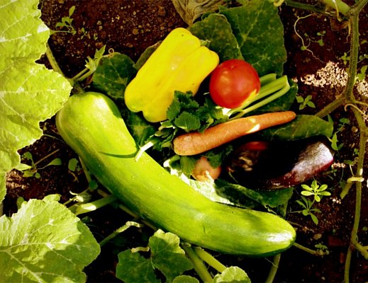 04032013 prodotti a km 0