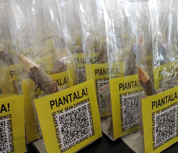 04032017 piantala