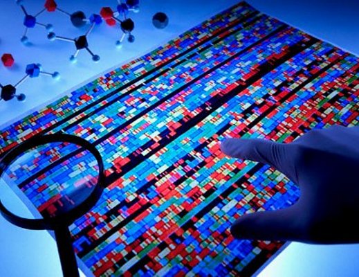 04042013 ricerca malattie genetiche