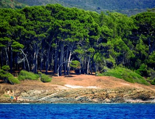 04052015 punta licosa dal mare