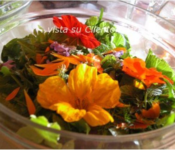 Paolo-Abbate foto - 04052019 cibo erbe selvatiche