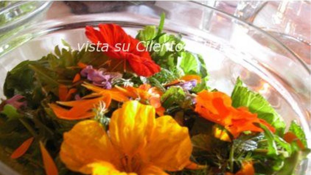 04052019 cibo erbe selvatiche