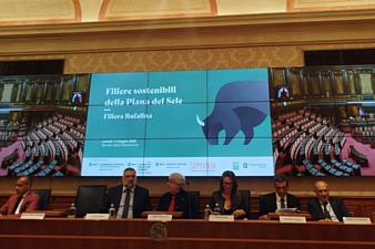 Foto della News