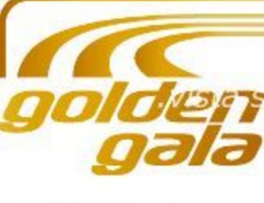 04062013 Logo Golden Gala Mennea 2013 d0