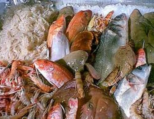 04062013 prodotti ittici