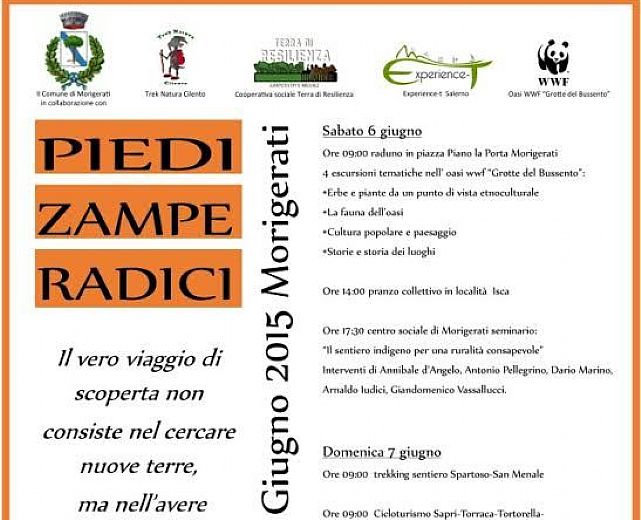 04062015 piedi zampe e radici