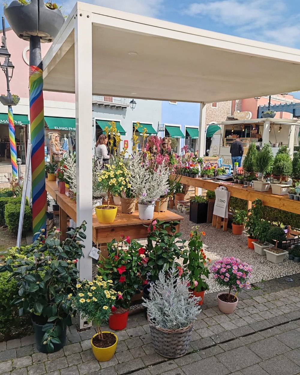 cilento green festival