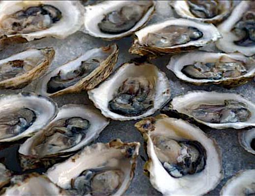 04072015 frutti di mare