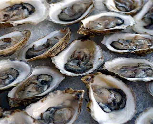 04072015 frutti di mare