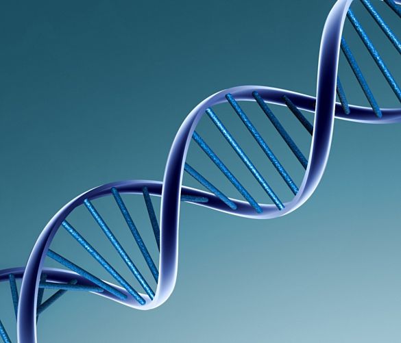 04072016 dna