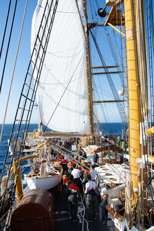 nave palinuro splendida