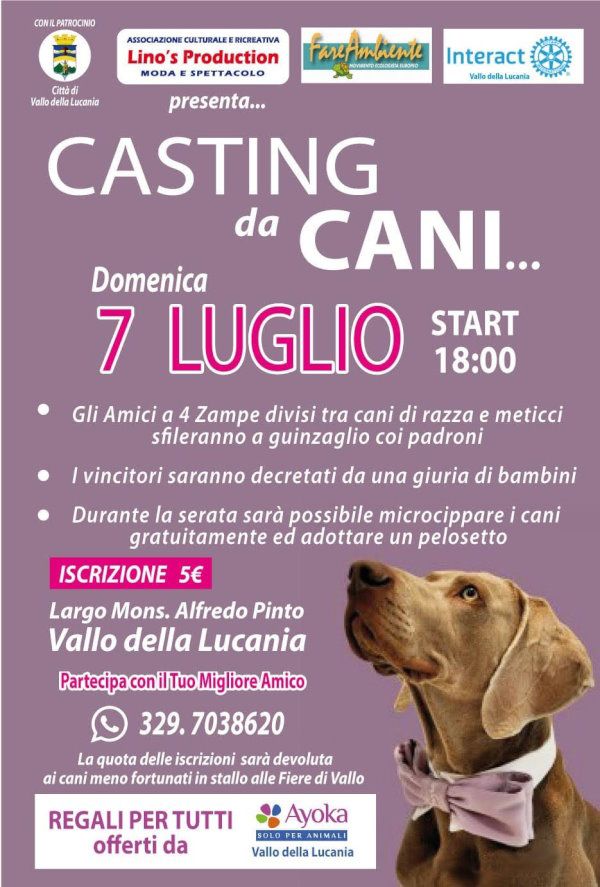 locandina evento cani