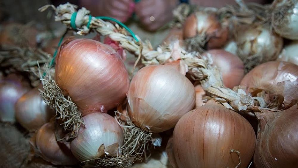 04082016 festa della cipolla