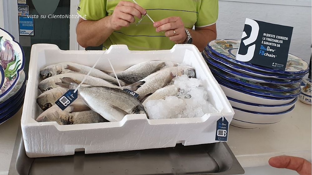 04082019 FARZATI TEAM BLUDEV a LA7