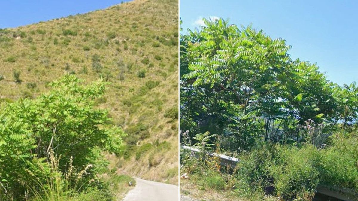 04092025 sp94 condizioni 04092025 sp94 condizioni