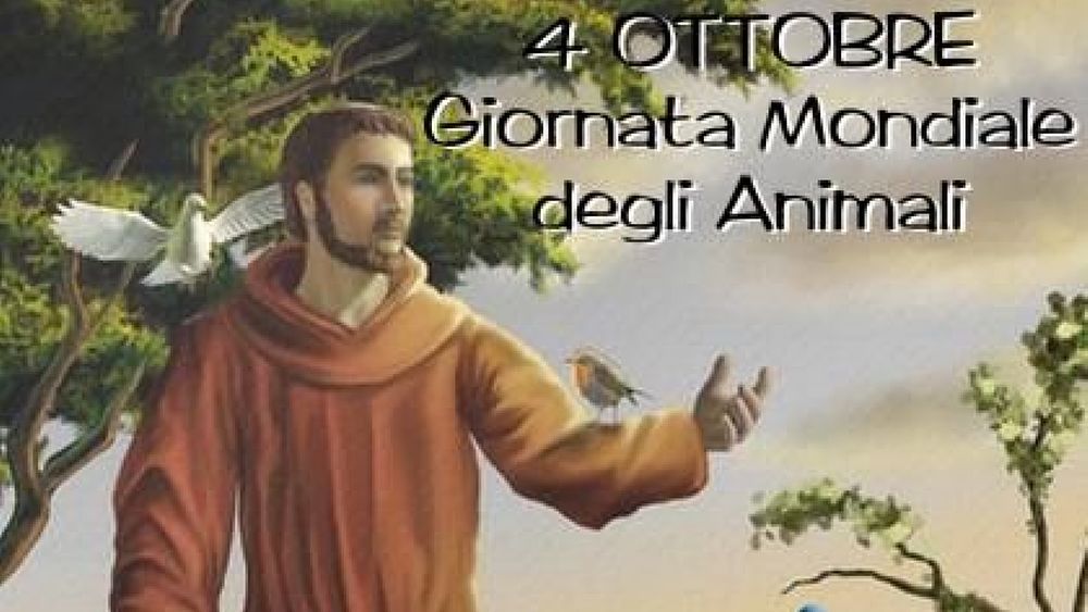 04102019 change destiny