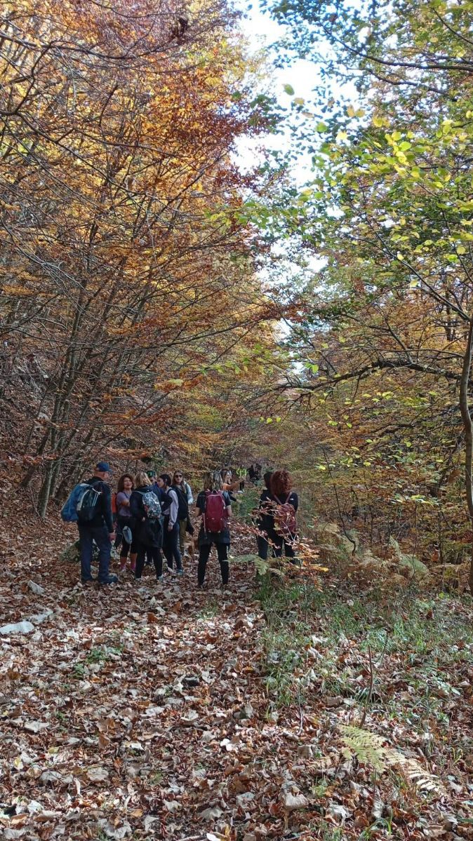 castagneto a roccadaspide