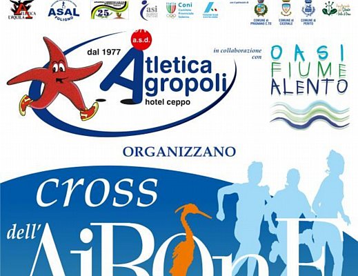 04122012 Cross Airone 2012