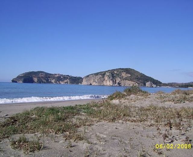 04122014 art abbate 01