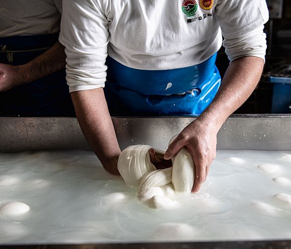 04122023 produzione mozzarella dop