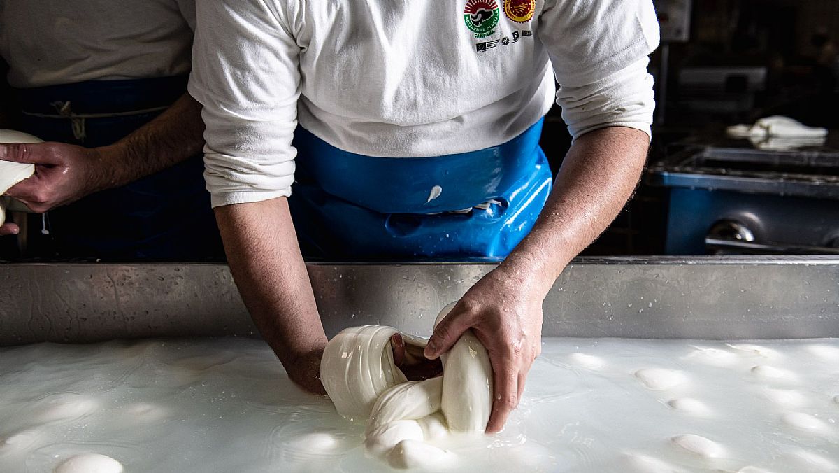 04122023 produzione mozzarella dop 04122023 produzione mozzarella dop
