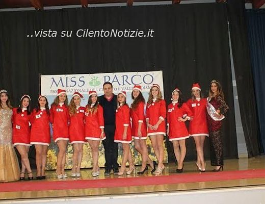 05012015 miss parco christmas