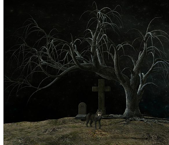 05012017 cimitero notte