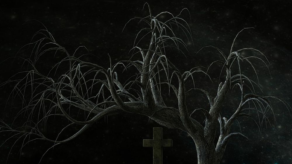 05012017 cimitero notte